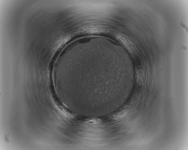 X0000098010447200804071332