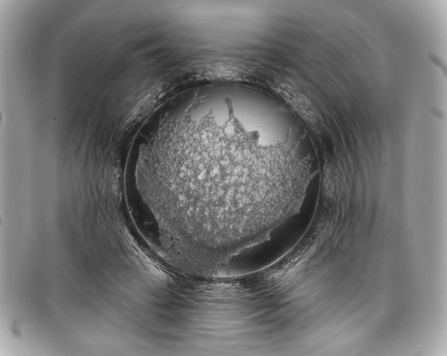 X0000098010449200804071332