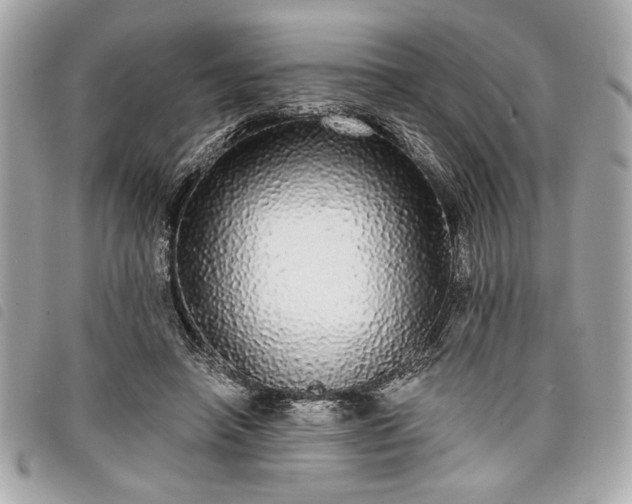 X0000098010450200804071332