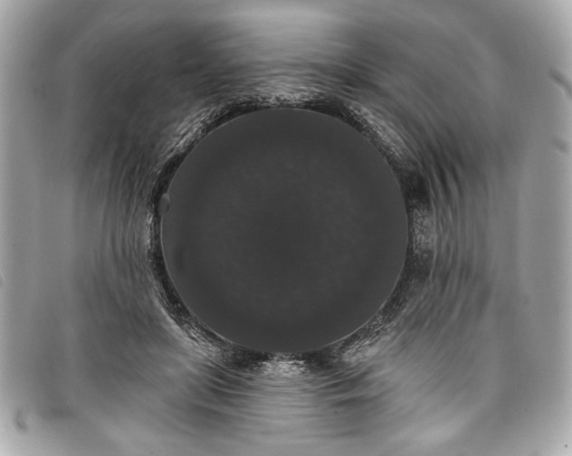 X0000098010451200804071332