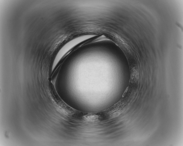 X0000098010452200804071332