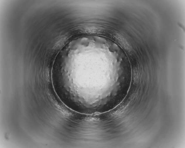 X0000098010453200804071332