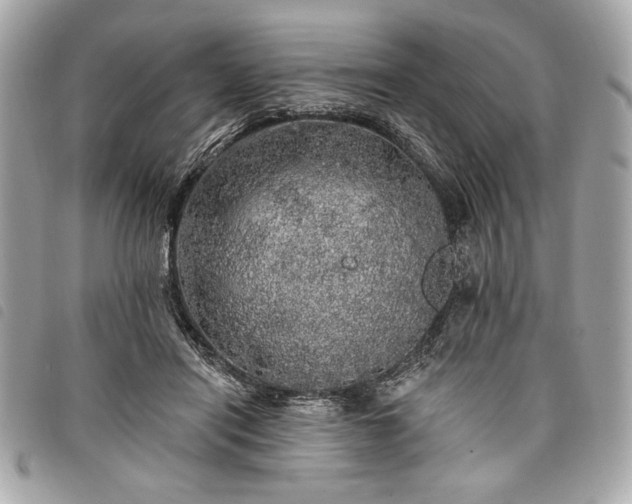 X0000098010454200804071332