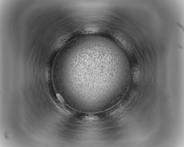 X0000098010455200804071332