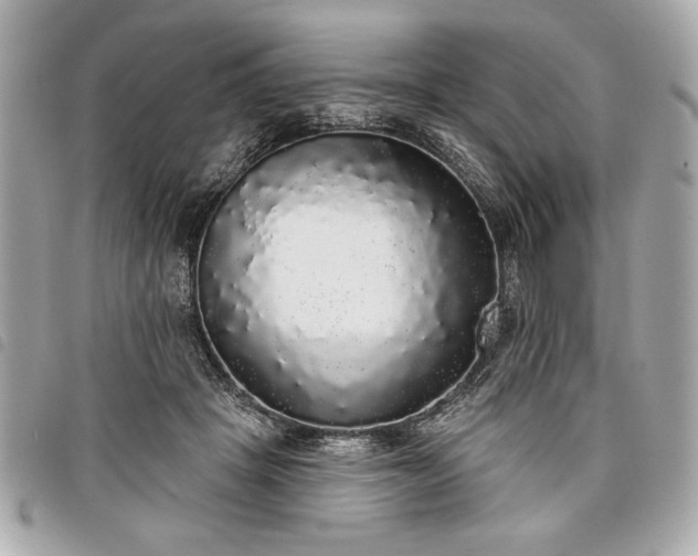 X0000098010457200804071332