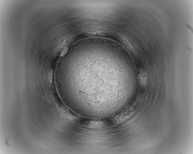 X0000098010458200804071332