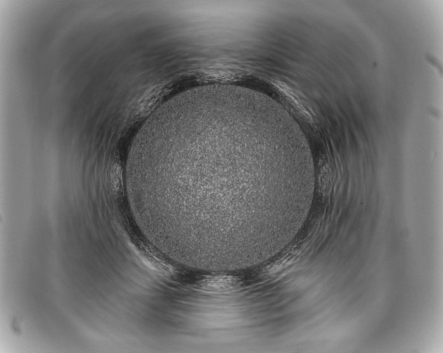 X0000098010459200804071332