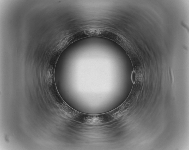 X0000098010460200804071332