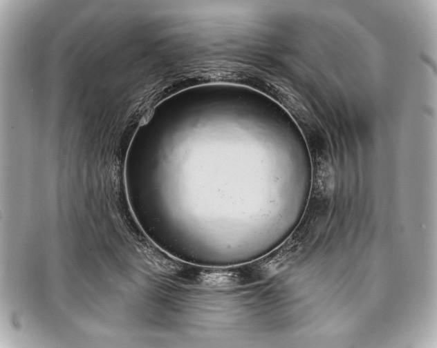 X0000098010461200804071332