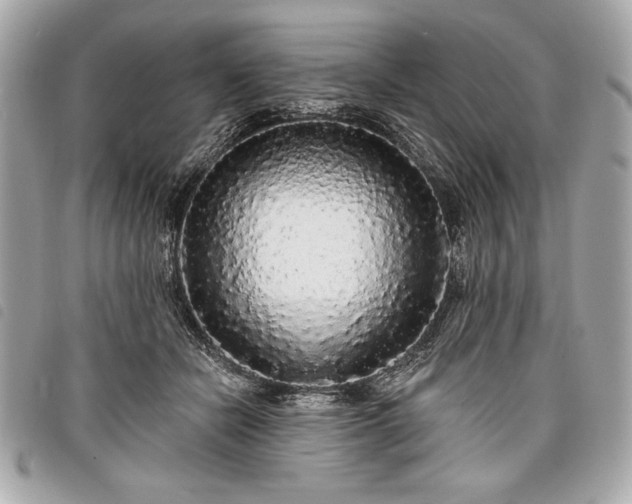 X0000098010462200804071332