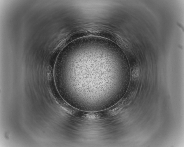 X0000098010464200804071332