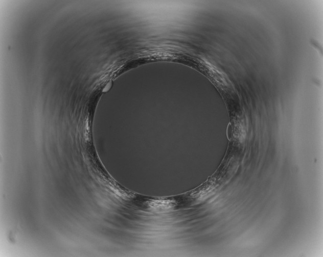 X0000098010465200804071332