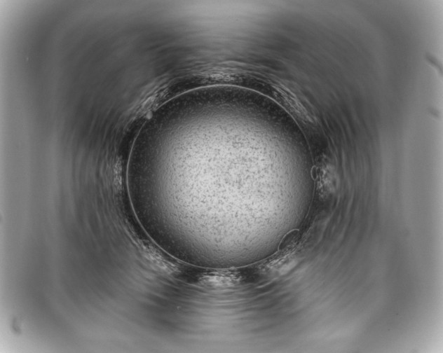 X0000098010466200804071332