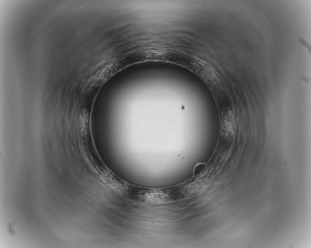 X0000098010468200804071332