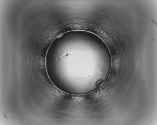 X0000098010469200804071332