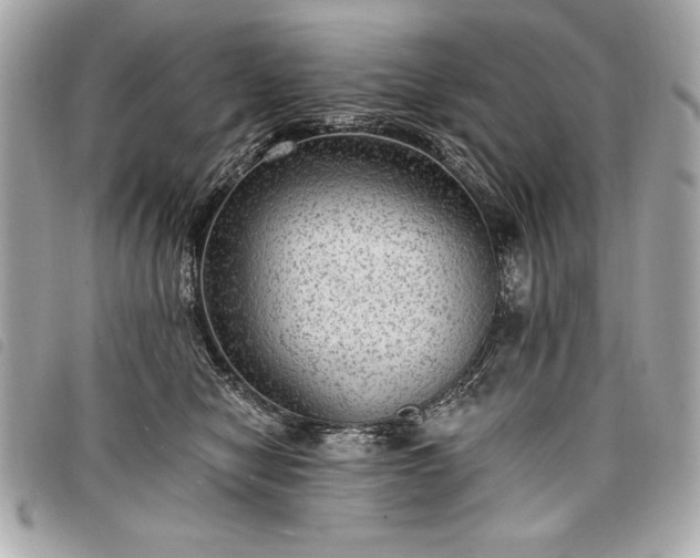 X0000098010470200804071332