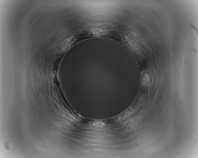 X0000098010471200804071332