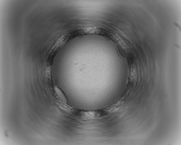 X0000098010473200804071332