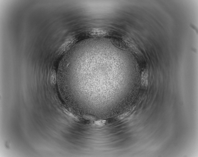 X0000098010474200804071332