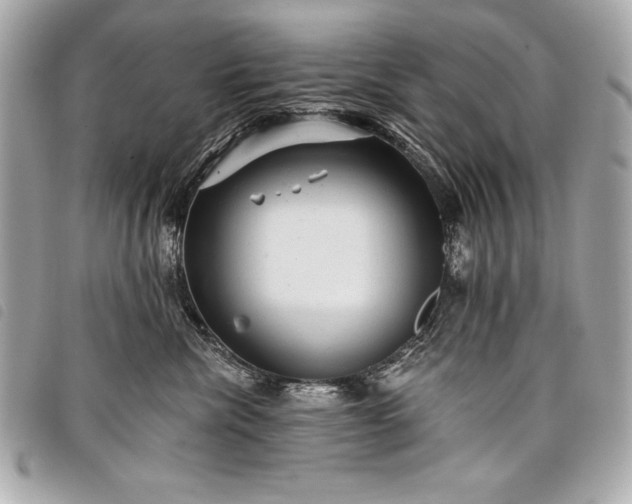 X0000098010476200804071332