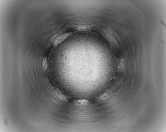 X0000098010478200804071332