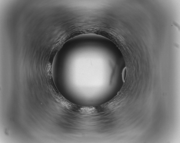 X0000098010480200804071332