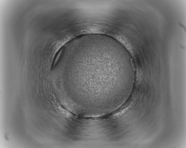 X0000098010481200804071331