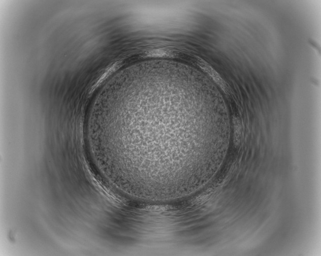 X0000098010482200804071331