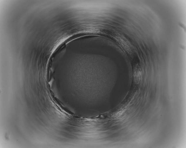 X0000098010484200804071331