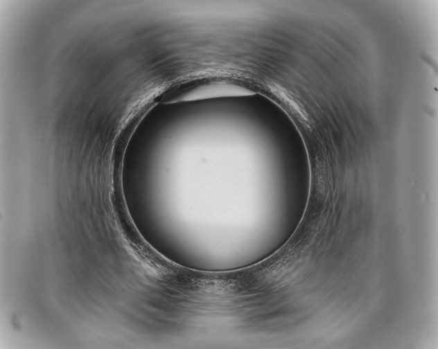 X0000098010486200804071331