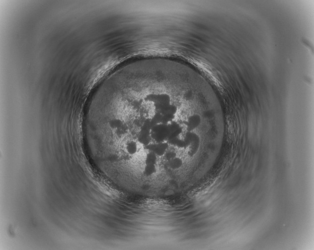 X0000098010487200804071331