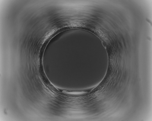 X0000098010488200804071331