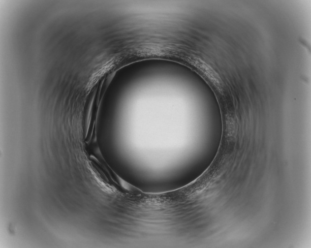 X0000098010489200804071331