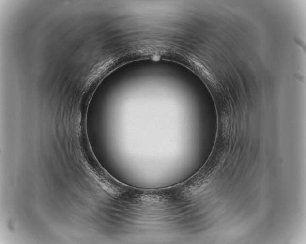 X0000098010490200804071331