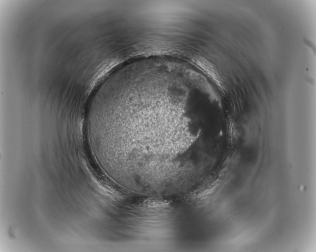 X0000098010491200804071331