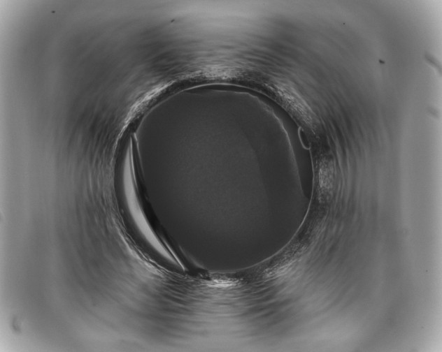 X0000098010492200804071331