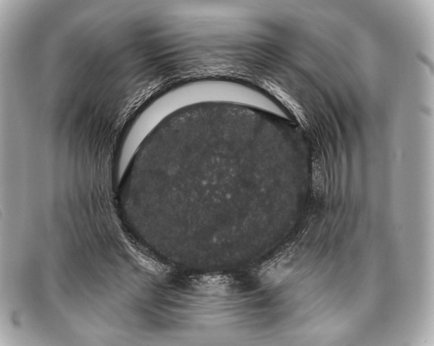 X0000098010493200804071331