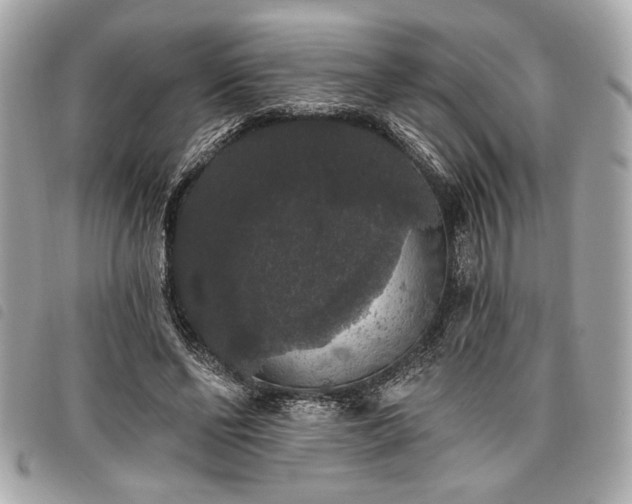 X0000098010494200804071331