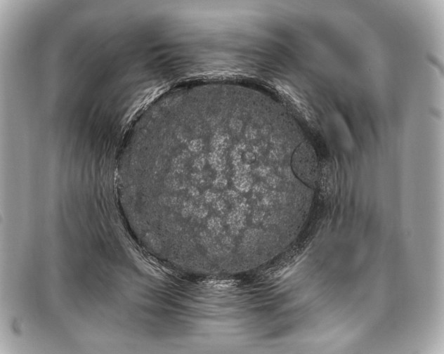 X0000098010495200804071331