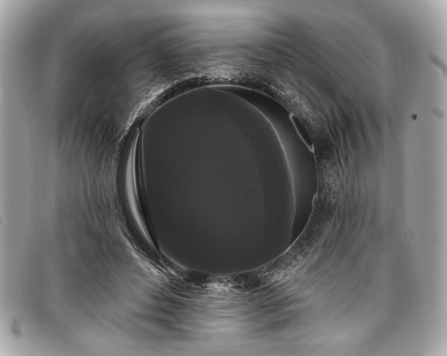 X0000098010496200804071331