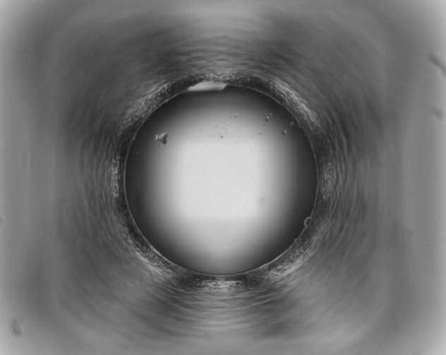 X0000098010497200804071331