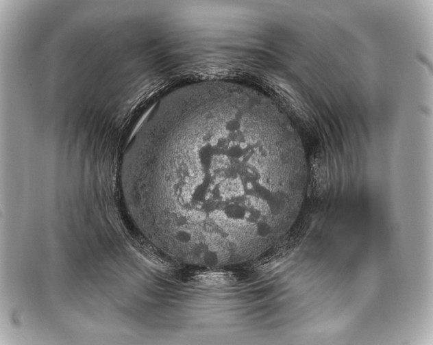 X0000098010499200804071331