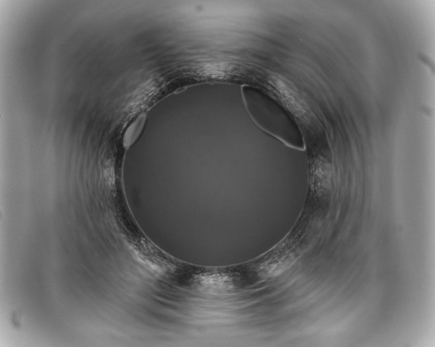 X0000098010500200804071331