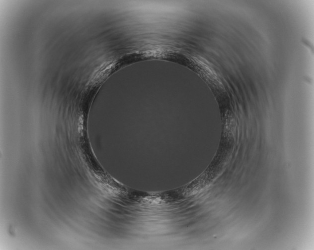 X0000098010502200804071331