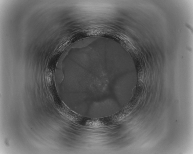 X0000098010503200804071331