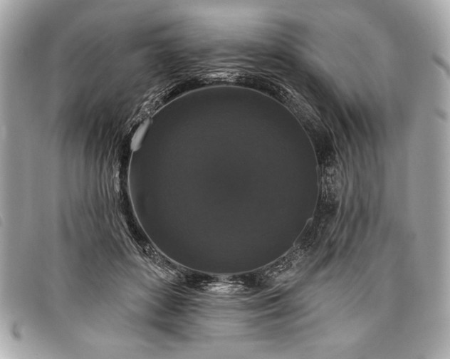 X0000098010504200804071331