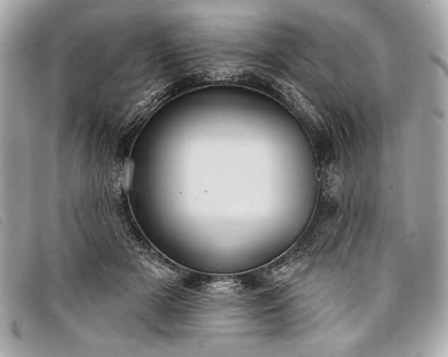 X0000098010505200804071331