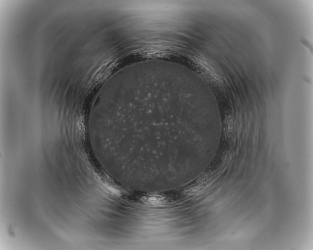 X0000098010506200804071331