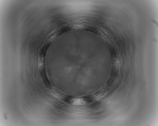 X0000098010507200804071331