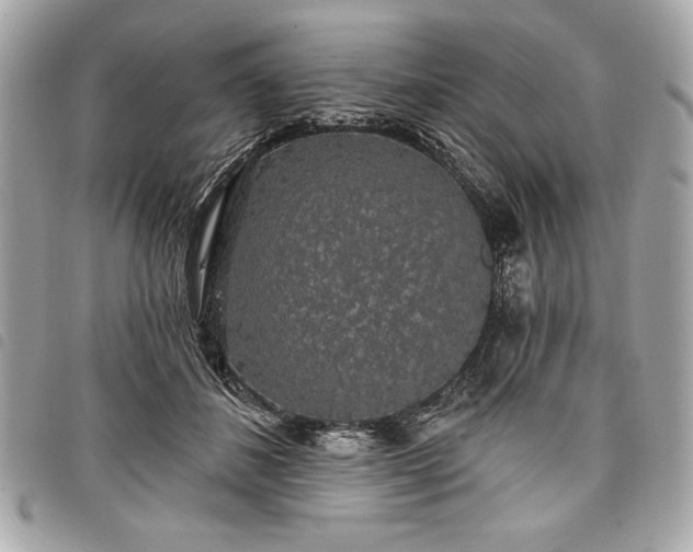 X0000098010508200804071331